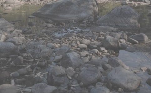 С�W(xu��)���꼉(j��)���ģ��� (t��ng)����СϪ���ĸ衪���x��СϪ���ĸ衷���