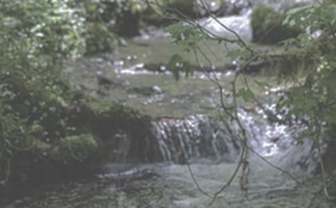 小溪流的歌600字作文