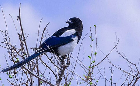 ϲ�o�������H�Ժ���������