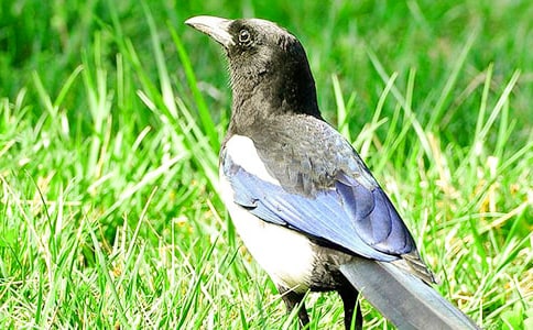 �P(gu��n)��ϲ�o���ģ�ͨ��27ƪ��