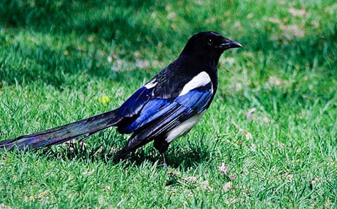 �P(gu��n)��ϲ�o����(8ƪ)