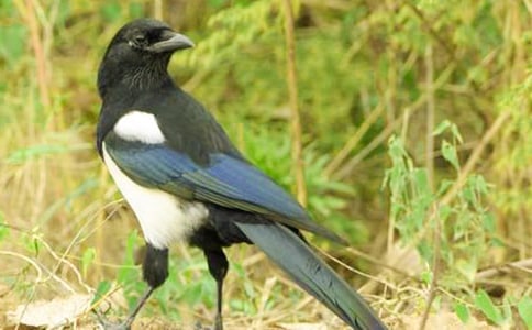 ϲ�o���^����ӛ�����x20ƪ��