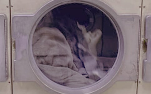 ��һ��ϴ�·�����200��5ƪ