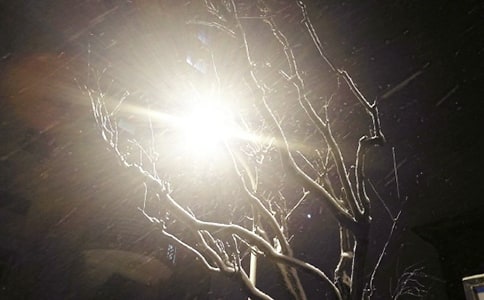 ��ѩ�����ġ��R��15ƪ��