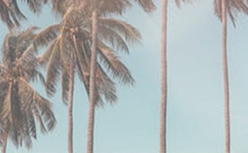 �ļ���ȫ���a(ch��n)���(d��ng)�������ģ����x6ƪ��