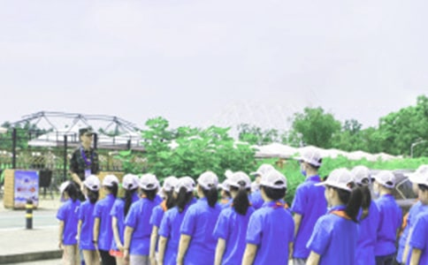 暑假夏令營(yíng)活動(dòng)方案(13篇)