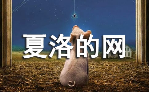 夏洛的網(wǎng)讀后感300字范文