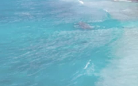 ���Ն���ף���Z��ȫ