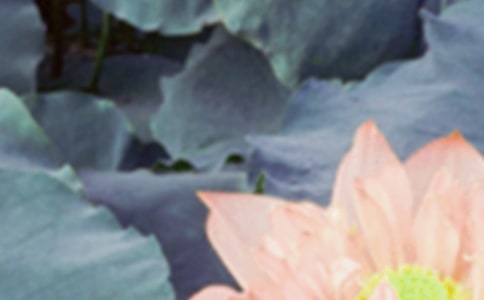 ����δ����(j��ng)���Z(y��)�