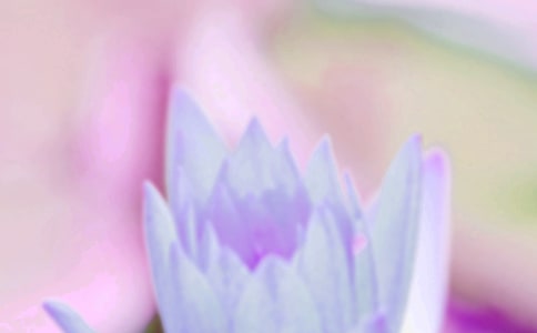 關(guān)于夏至的作文