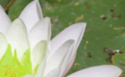 �W(xu��)У�������(d��ng)������ͨ��12ƪ��