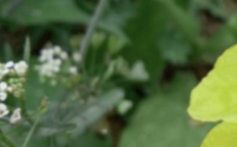 ����δ���Ľ�(j��ng)���Z䛾��x