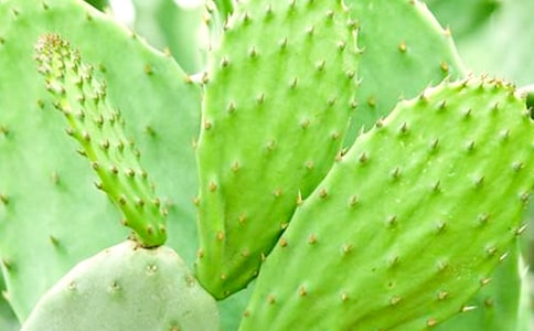 �����]���������^����ӛ