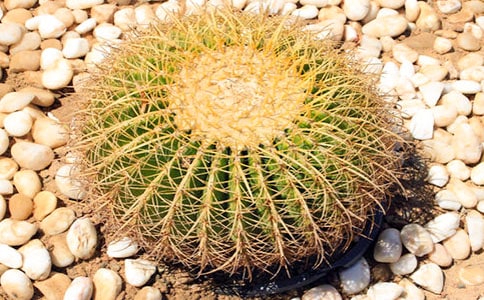 �������^����ӛ���᡿