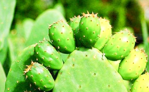 �������^����ӛ(�ϼ�15ƪ)