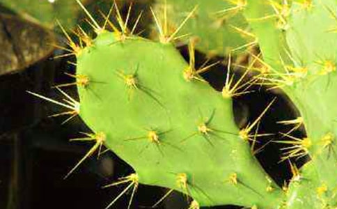 �^����ӛֲ��������500��