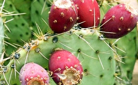 ֲ���������^����ӛ6ƪ