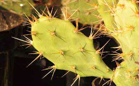 �������^����ӛ