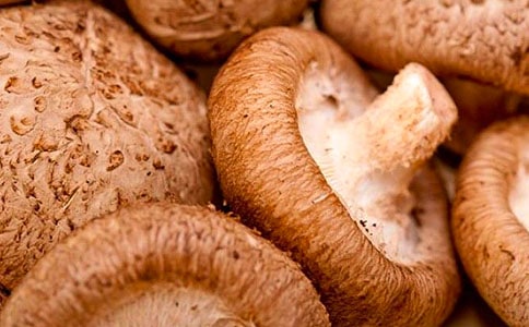 �㹽�����������ȫ