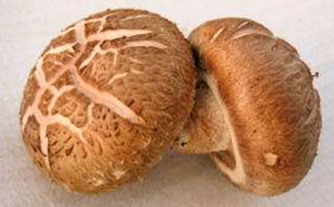 晨起喝香菇滑雞粥 營(yíng)養(yǎng)更全面