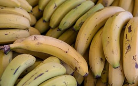 �P(gu��n)���㽶�����ĺϼ�15ƪ