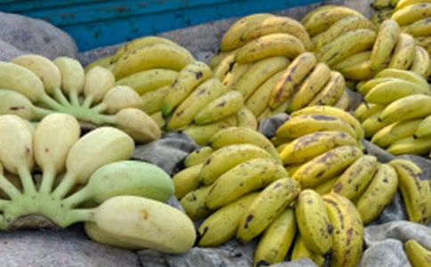 �㽶�^����ӛ��ͨ��20ƪ��