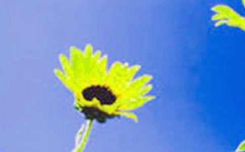 �����տ�һ��������������