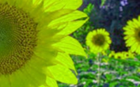 ���տ����^����ӛ