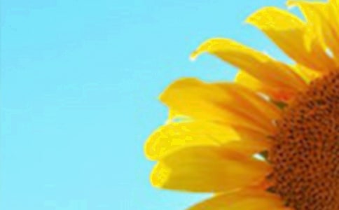 �^�����տ���ӛ200��