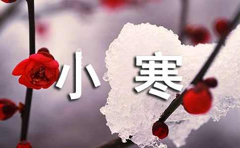 關(guān)于小寒時節(jié)的作文