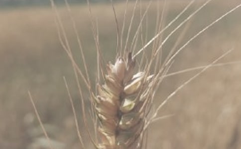 ��ͬβ�V��������С�����L�Y�����ؽ��ٸ�����r