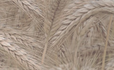 ��ͬˎ������С������֩��ԇ�(y��n)����(b��o)