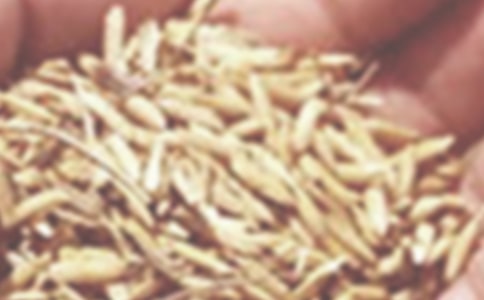 小麥平衡施肥參數(shù)試驗(yàn)初探