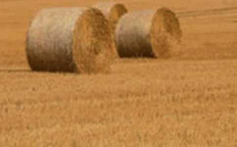 С�����������|(zh��)�e������ٶ��cƽ���ٶȵ��P(gu��n)ϵ