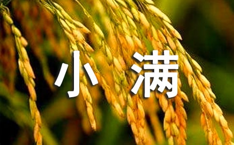 關(guān)于二十四節(jié)氣小滿的作文