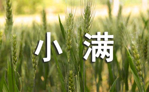 (精華)關(guān)于二十四節(jié)氣小滿的作文