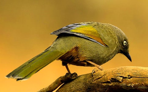 С�B����300��4ƪ������