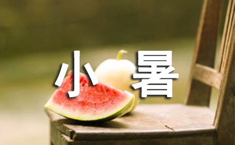 小暑節(jié)氣的活動方案(通用10篇)