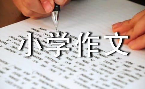 小學(xué)作文:暑假游記(15篇)