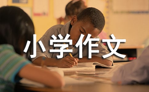 關于安全的小學作文合集15篇