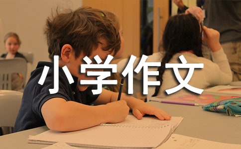 水上樂園游記小學(xué)作文