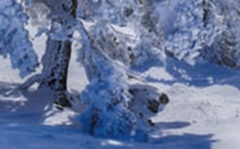 Сѩ���׃��@�а�����(l��)�̰�