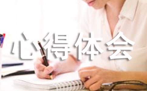 素質拓展心得體會1000字