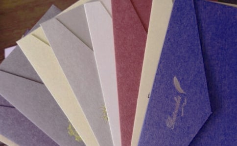 住在信封上的貓咪_作文450字