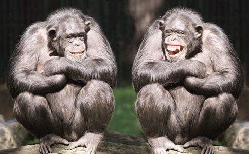 ���ɺ͹��ܵĹ���