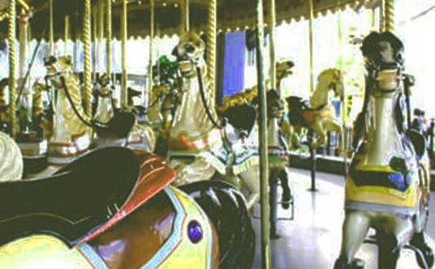 ���L(zh��ng)�^���е����D(zhu��n)ľ�R����