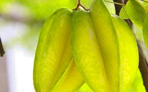 吃楊桃的好處和壞處都有什么