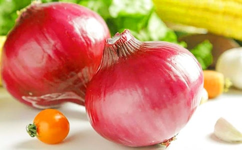 讀《洋蔥頭歷險記》感想作文350字