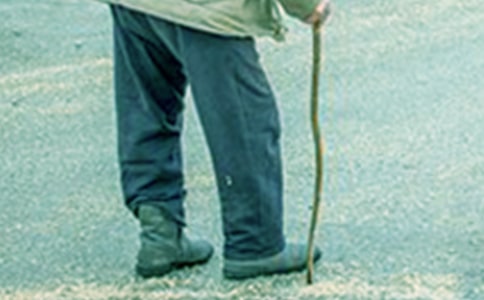 關于爺爺?shù)膼圩魑?00字匯總五篇