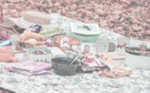 ���ģ�Ұ��